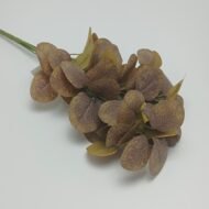 OKALİPTUS -GENİŞ YAPRAKLI-5 DAL-75 YAPRAK-KAHVE RENK - Görsel 1