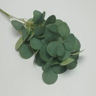 OKALİPTUS -GENİŞ YAPRAKLI-5 DAL-75 YAPRAK-YEŞİL - Görsel 1