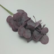 OKALİPTUS -GENİŞ YAPRAKLI-5 DAL-75 YAPRAK-MOR RENK - Görsel 1